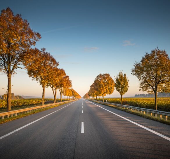 Road Trip